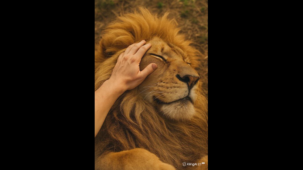 Purring Majesty | POV ASMR Petting a Lion 🦁🎧💛