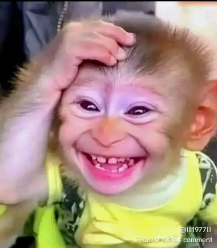 No laugh? No sense,